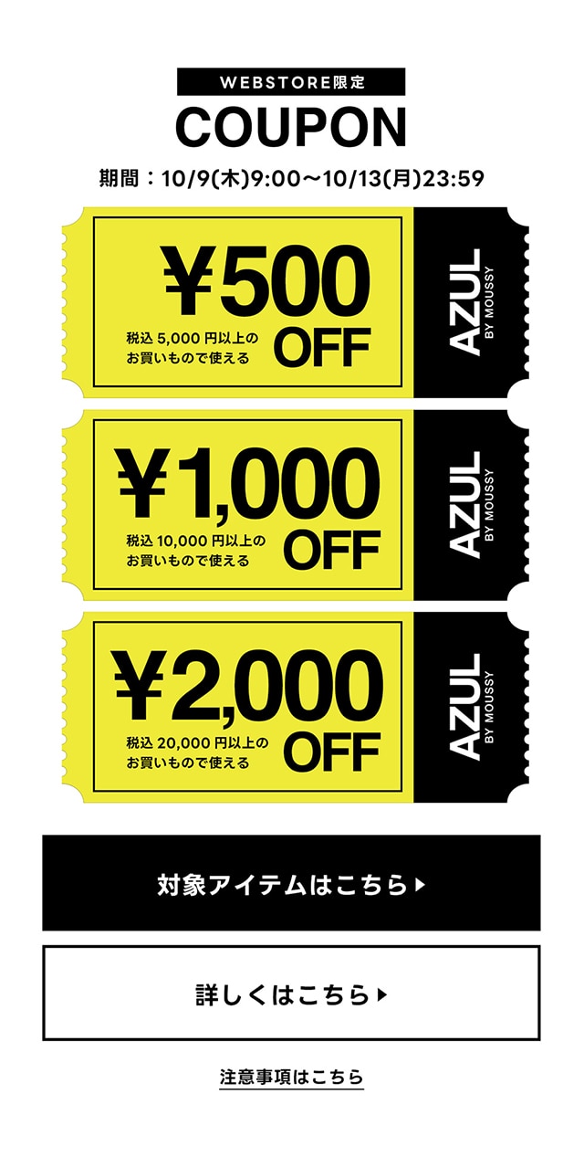 SHEL'TTER FES | AZUL BY MOUSSY｜バロックジャパンリミテッド 公式