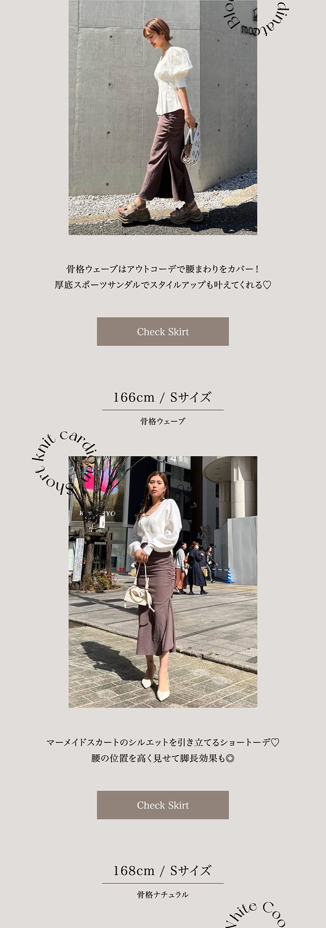 WEB LIMITED ITEMS｜バロックジャパンリミテッド 公式通販サイト SHEL  