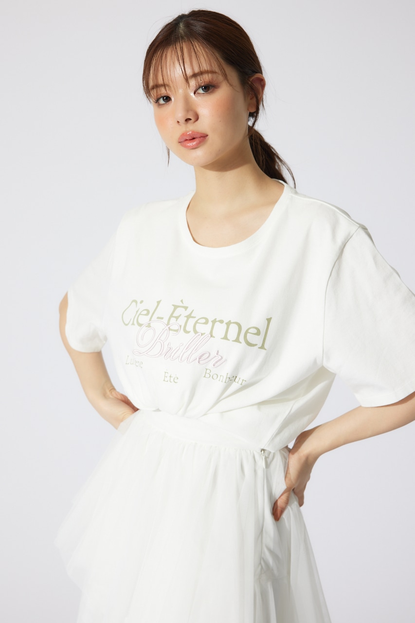 BigロゴTシャツ WHT FREE