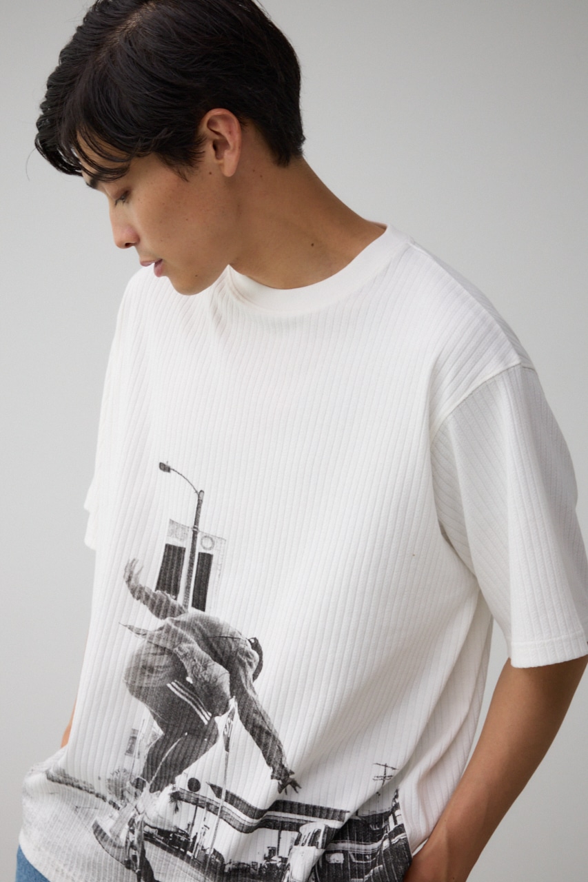 ビッグフォトプリントトップス WHT FREE