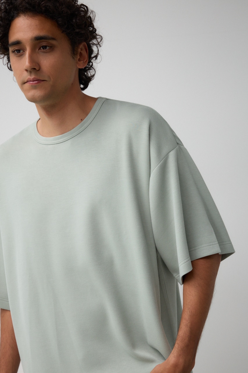 トロミビッグトップス MINT FREE