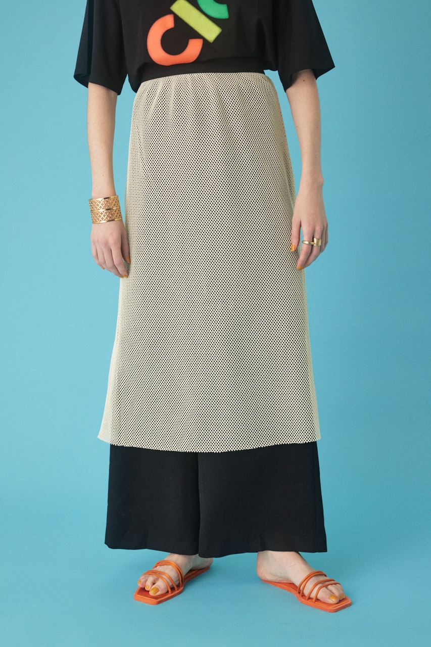 Mesh skirt L/BEG FREE