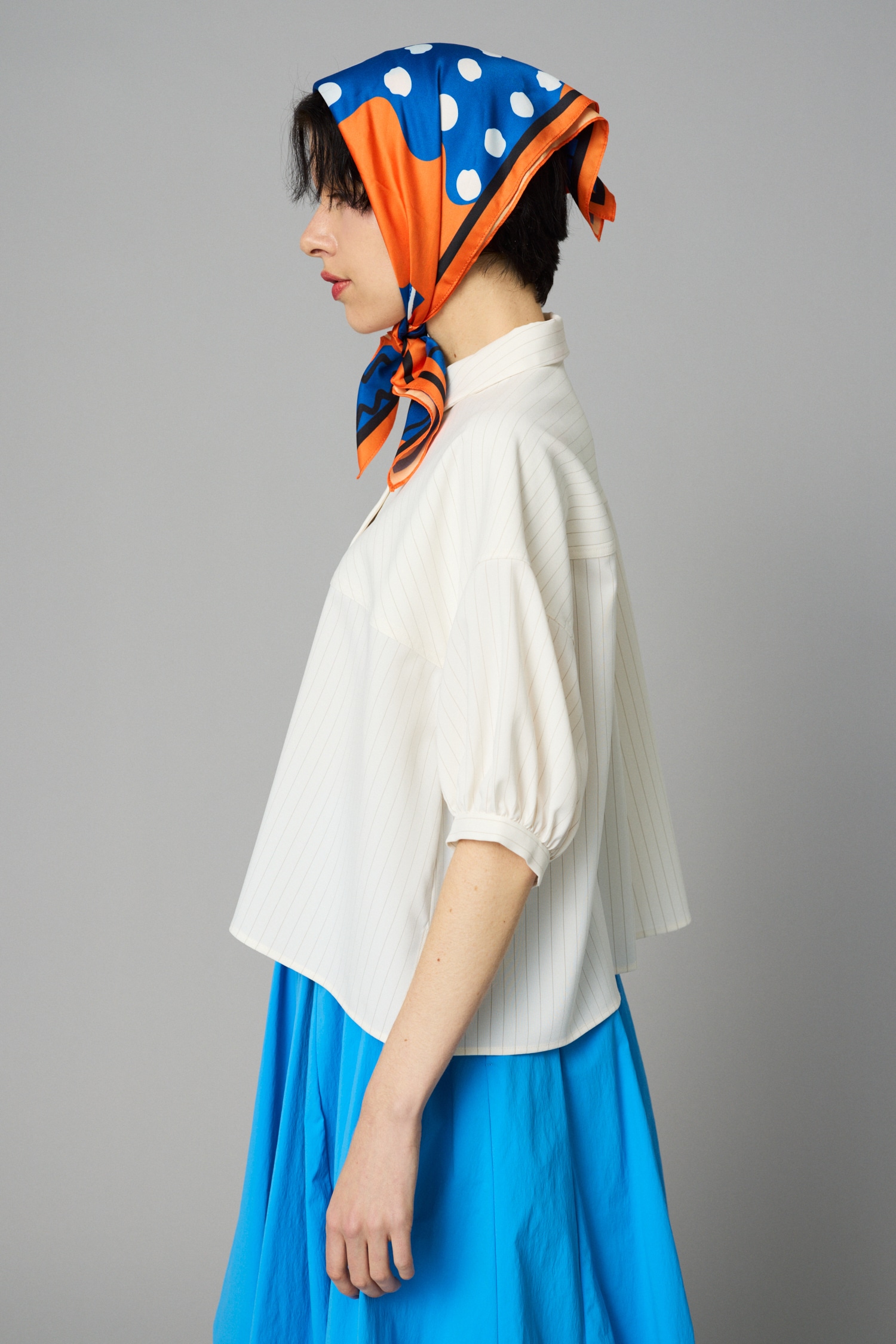 Stripe half sleeve shirt 柄WHT FREE