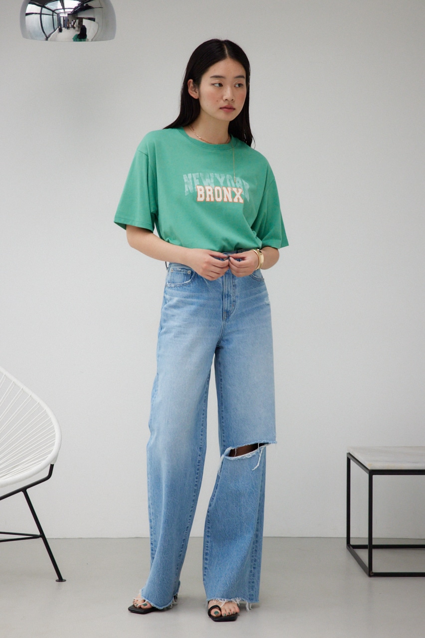 カレッジルーズTシャツ GRN FREE