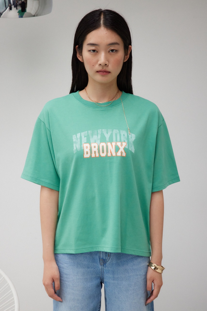 カレッジルーズTシャツ GRN FREE