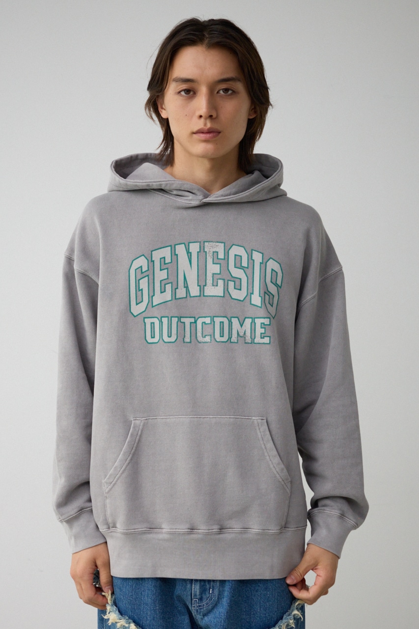 ピグメントフーディースウェット L/GRY FREE