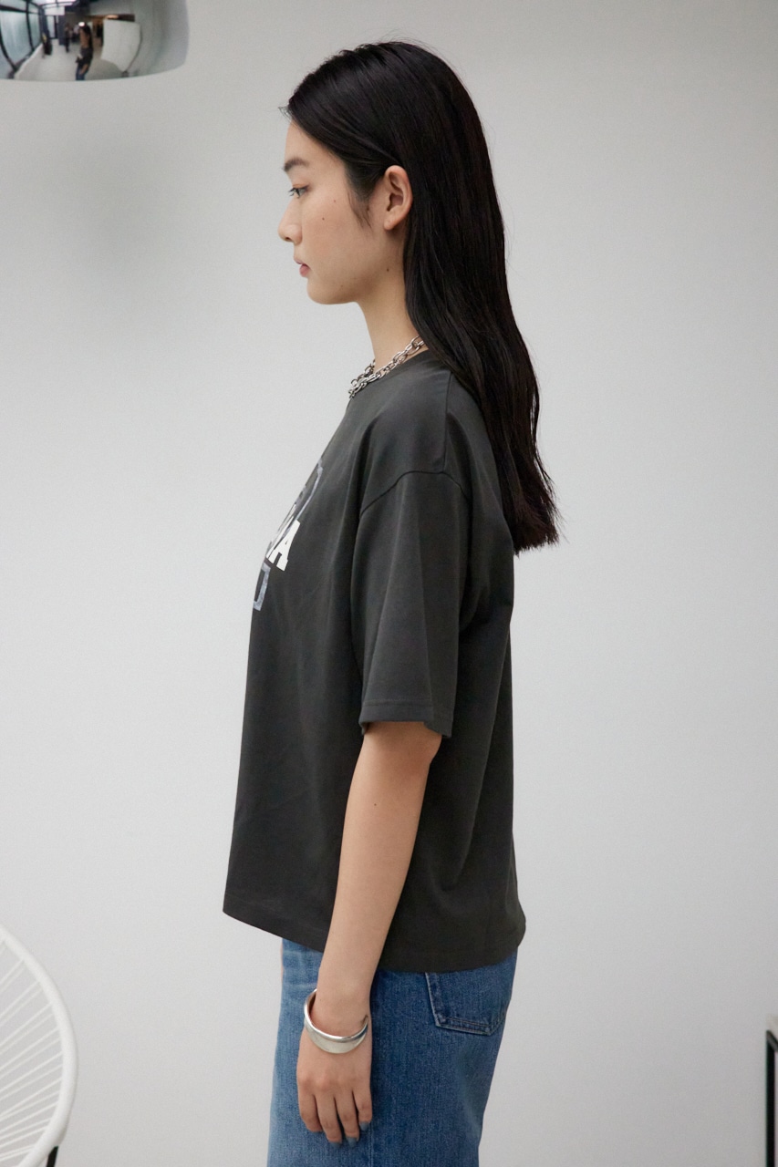 カレッジルーズTシャツ C.GRY FREE