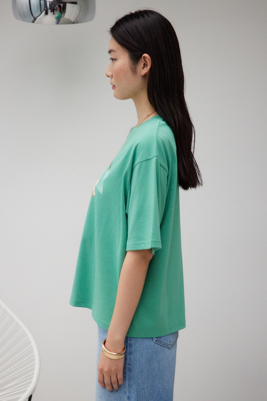 カレッジルーズTシャツ GRN FREE