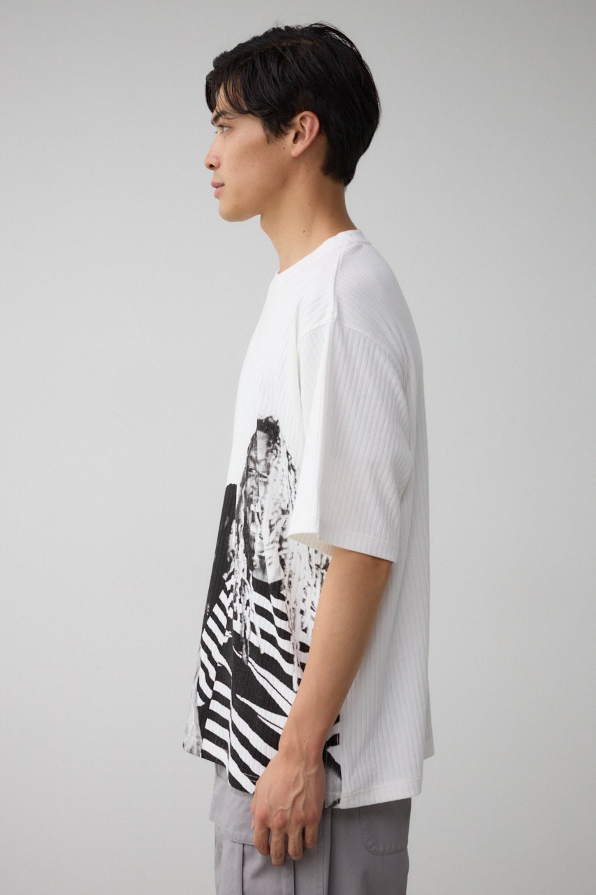 ビッグフォトプリントトップス 柄WHT FREE