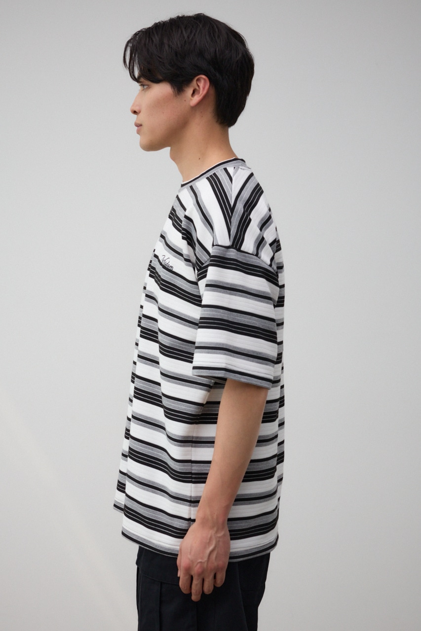リップルジャガードボーダービッグTEE 柄WHT FREE