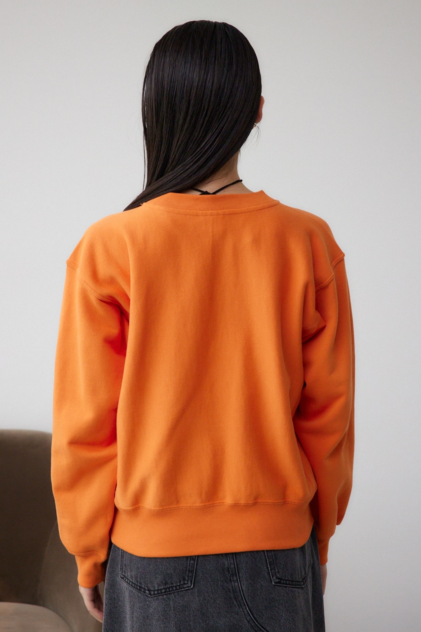 Champion REVERSE WAVE SWEAT RED L