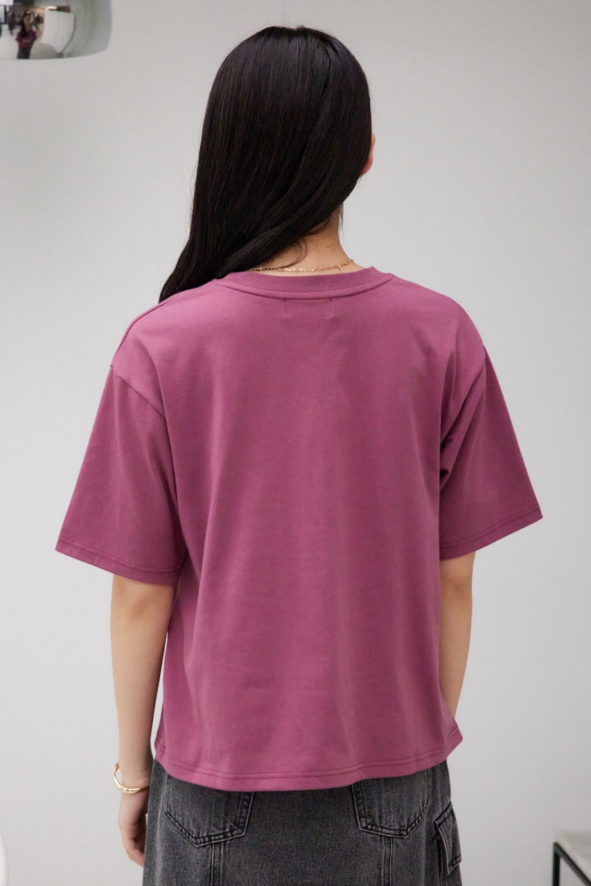 カレッジルーズTシャツ D/RED FREE