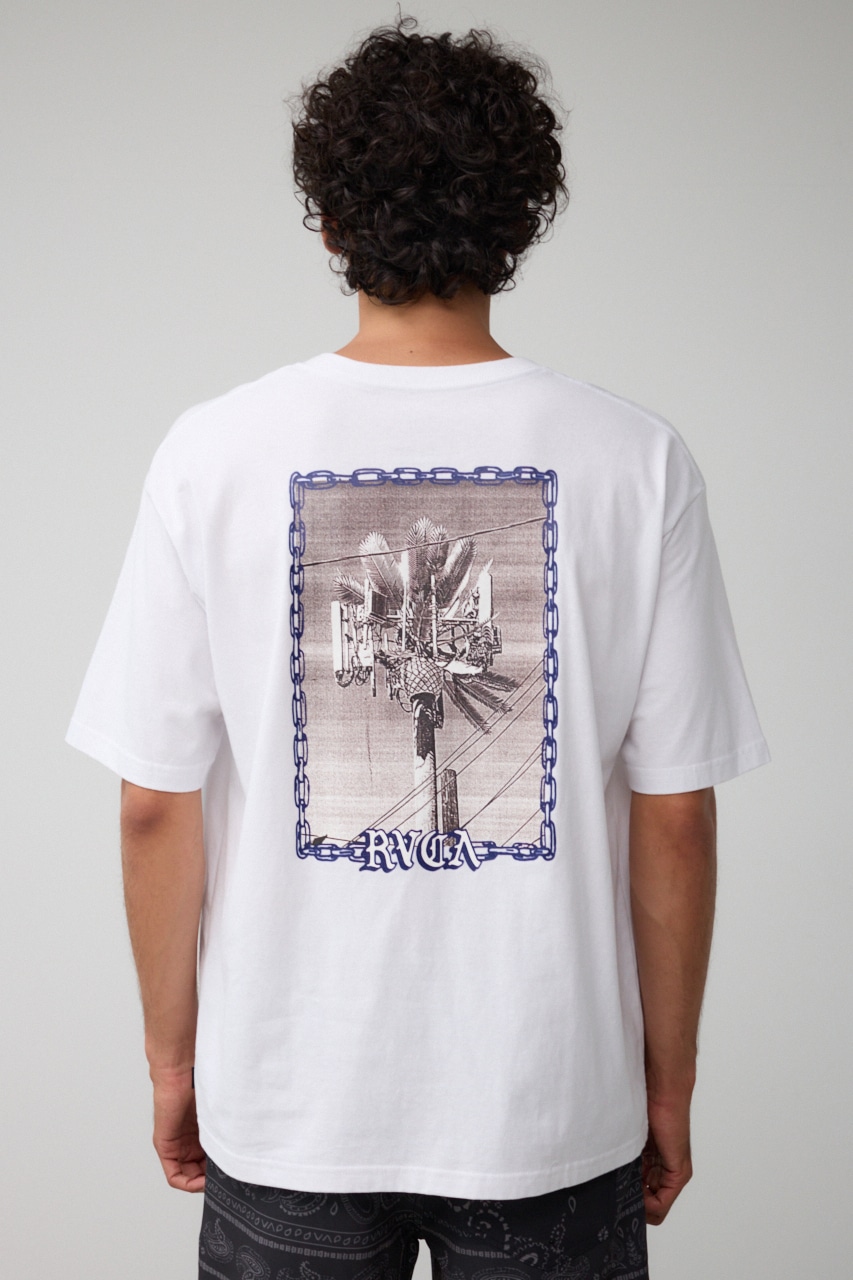 RVCA×AZUL バックフォトT WHT FREE