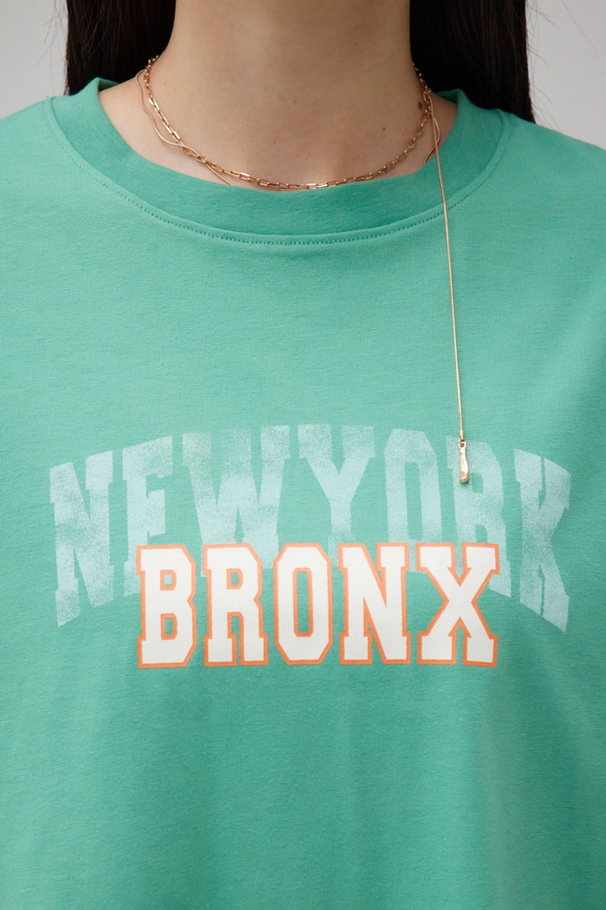 カレッジルーズTシャツ GRN FREE