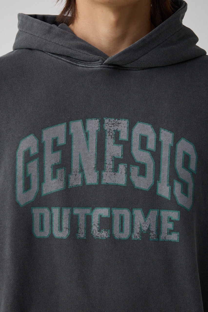 ピグメントフーディースウェット L/BLK FREE