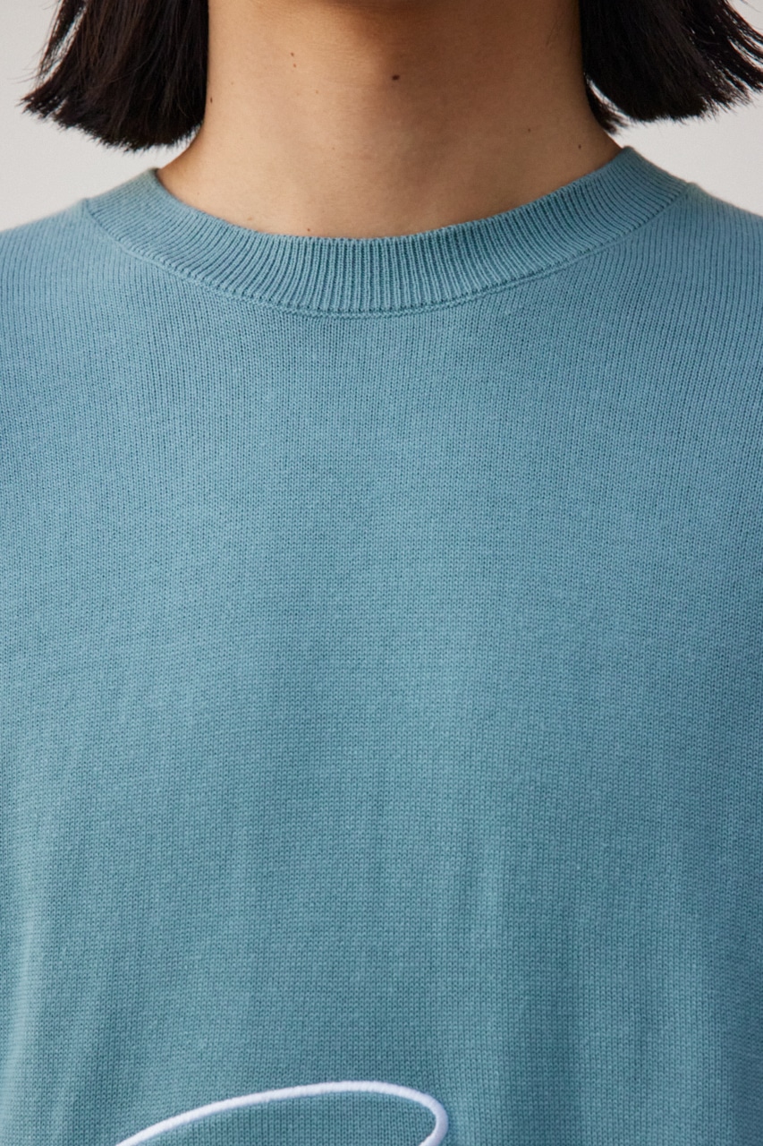 3D刺繍長袖ニットトップス L/BLU FREE