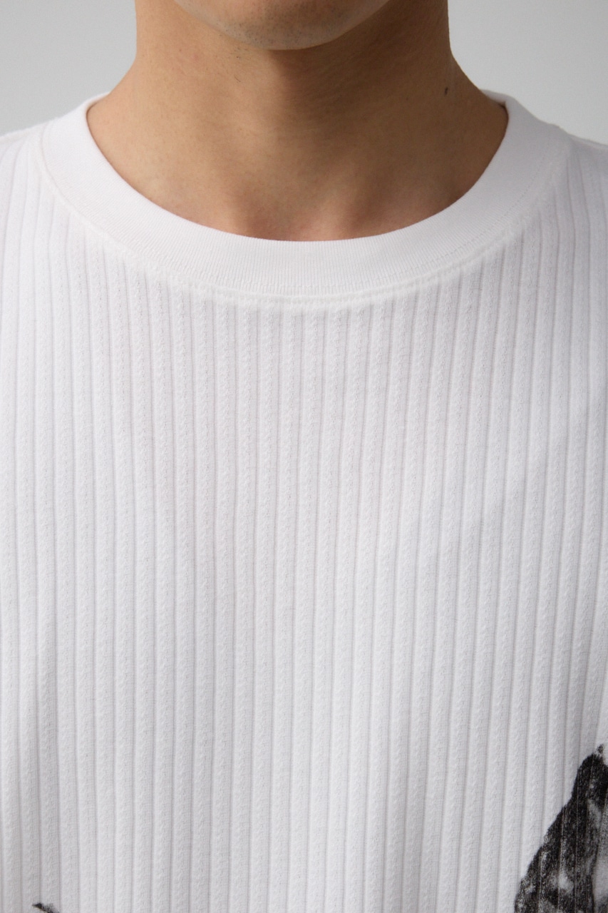 ビッグフォトプリントトップス 柄WHT FREE