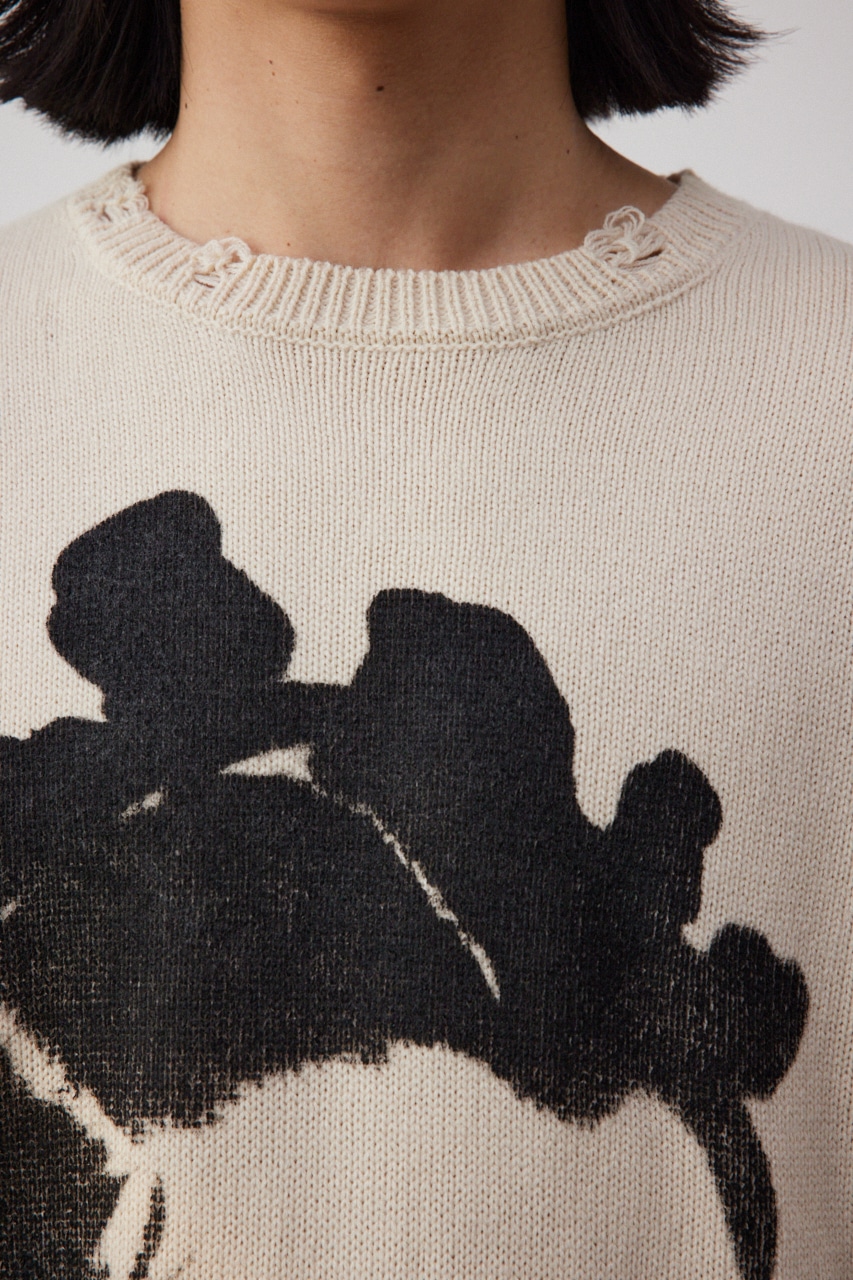 フォトプリントニットトップス IVOY FREE