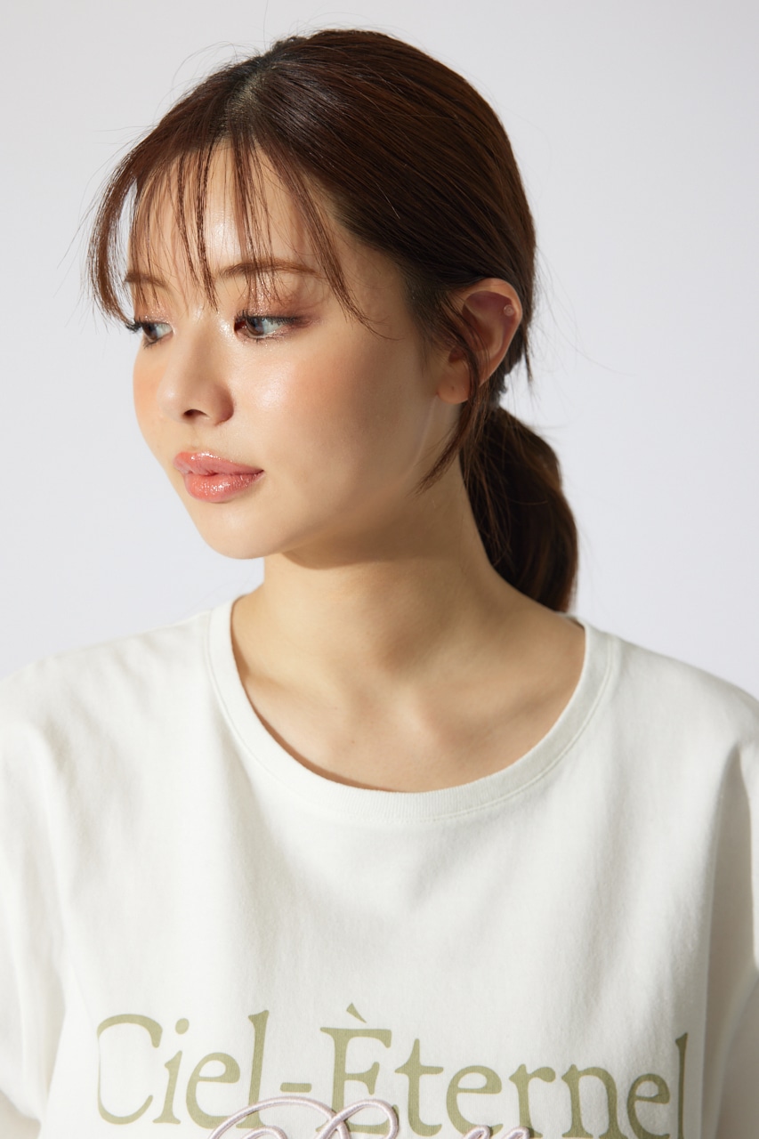 BigロゴTシャツ WHT FREE