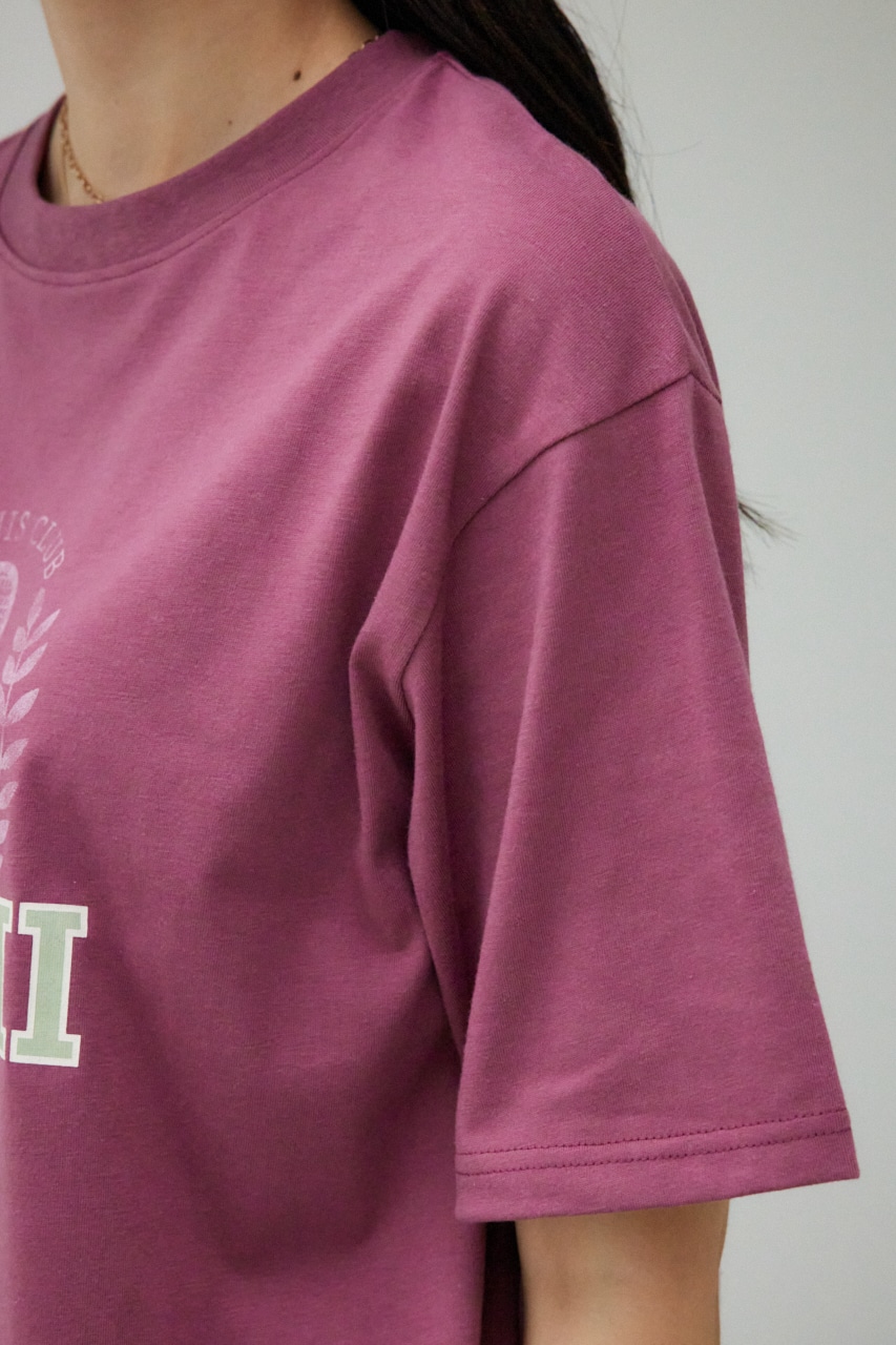 カレッジルーズTシャツ D/RED FREE