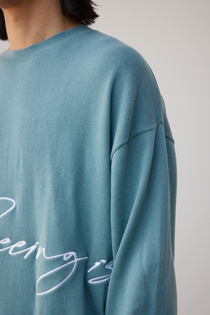 3D刺繍長袖ニットトップス L/BLU FREE