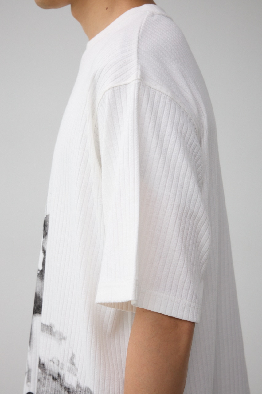 ビッグフォトプリントトップス M/WHT FREE