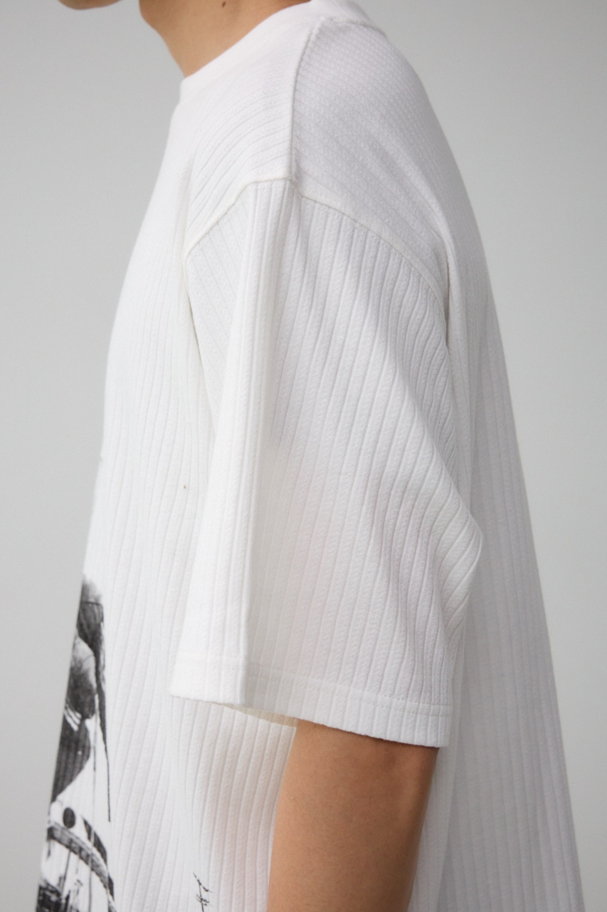 ビッグフォトプリントトップス WHT FREE