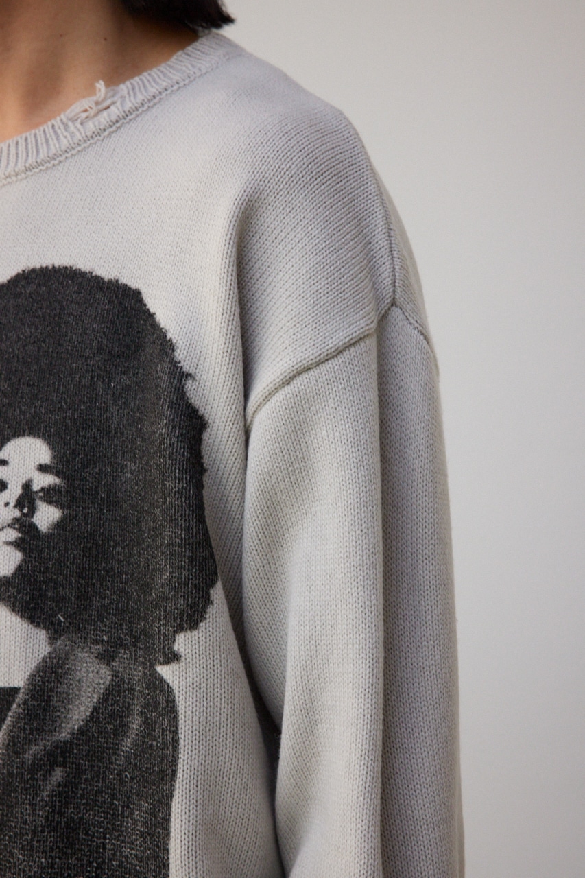 フォトプリントニットトップス GREIGE FREE
