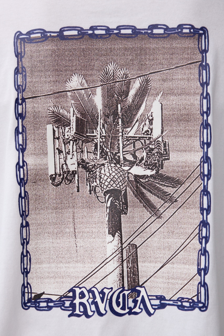 RVCA×AZUL バックフォトT WHT FREE