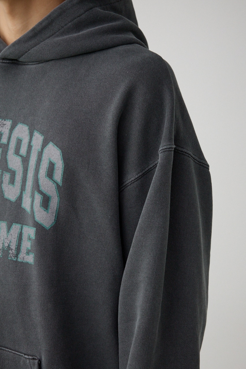 ピグメントフーディースウェット L/BLK FREE