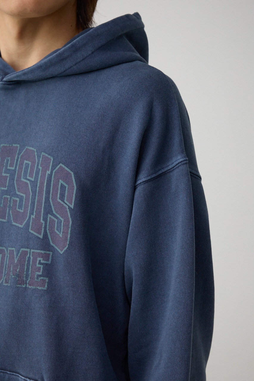 ピグメントフーディースウェット L/NVY FREE