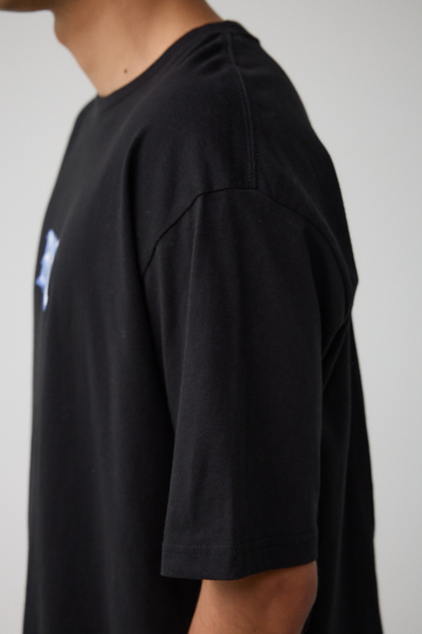 RVCA×AZUL バックフォトT L/BLK FREE