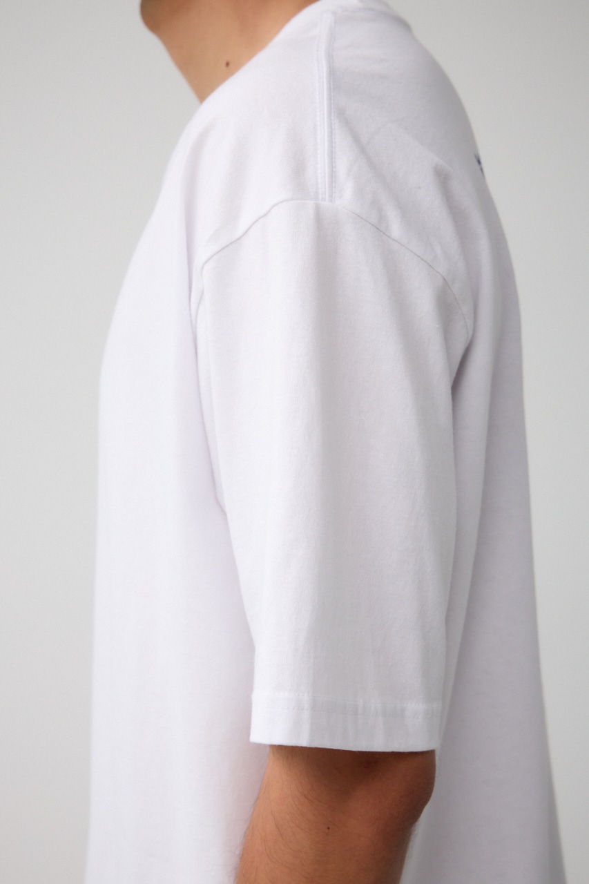 RVCA×AZUL バックフォトT WHT FREE