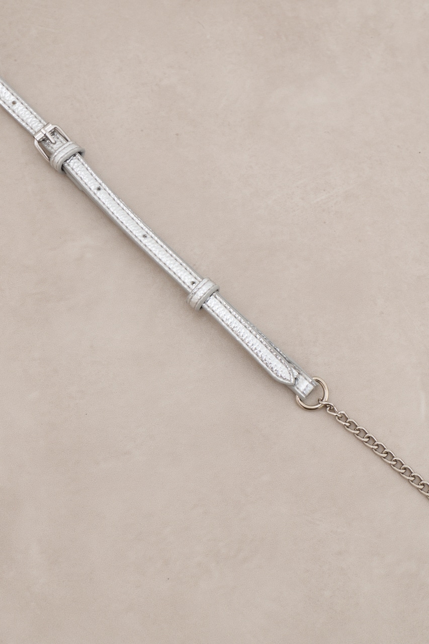 ダブルジッパーミニバッグ SLV FREE