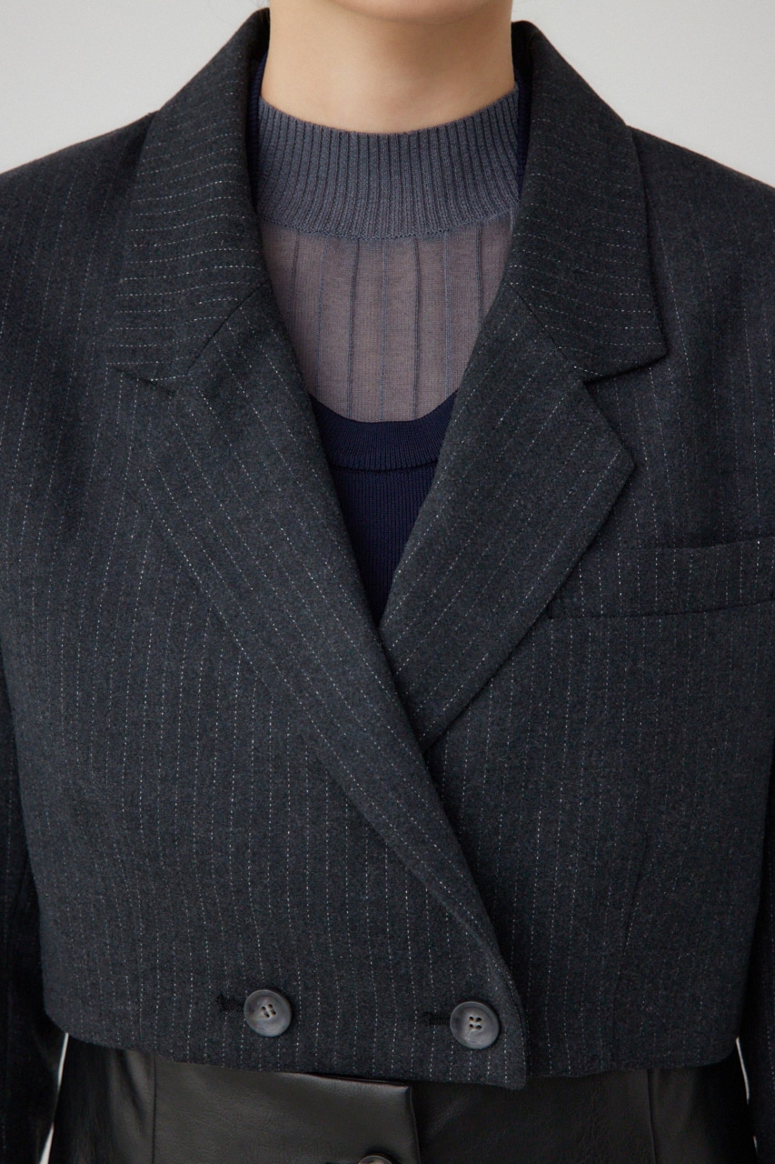 【PLUS】パターンクロップドジャケット Stripe FREE