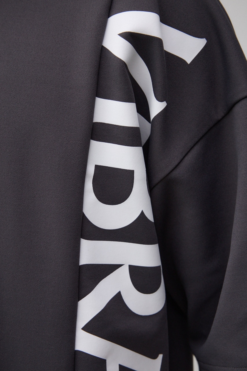 ロゴスウィッチングビッグTシャツ C.GRY FREE