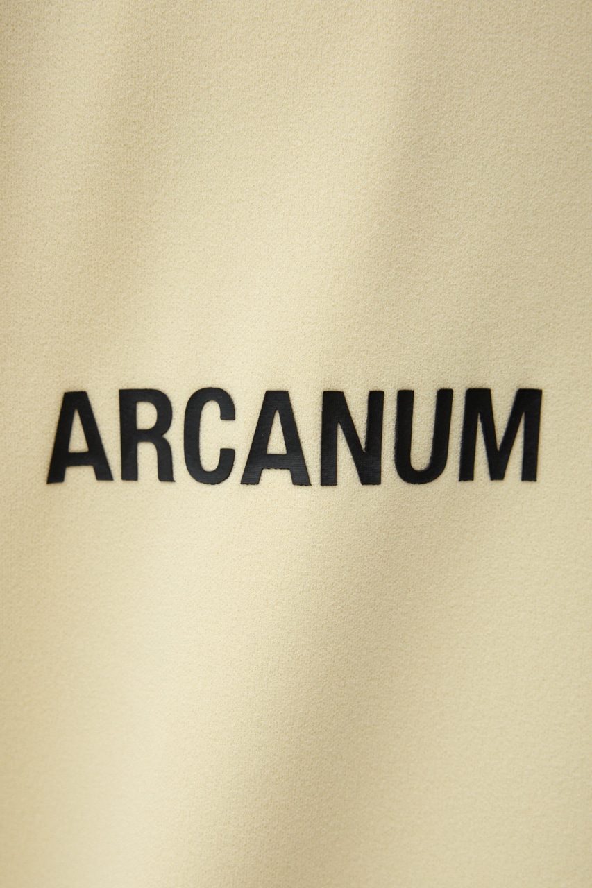 ARCANUMビッグTEE L/YEL FREE