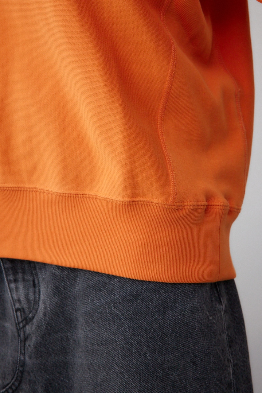 Champion REVERSE WAVE SWEAT RED L