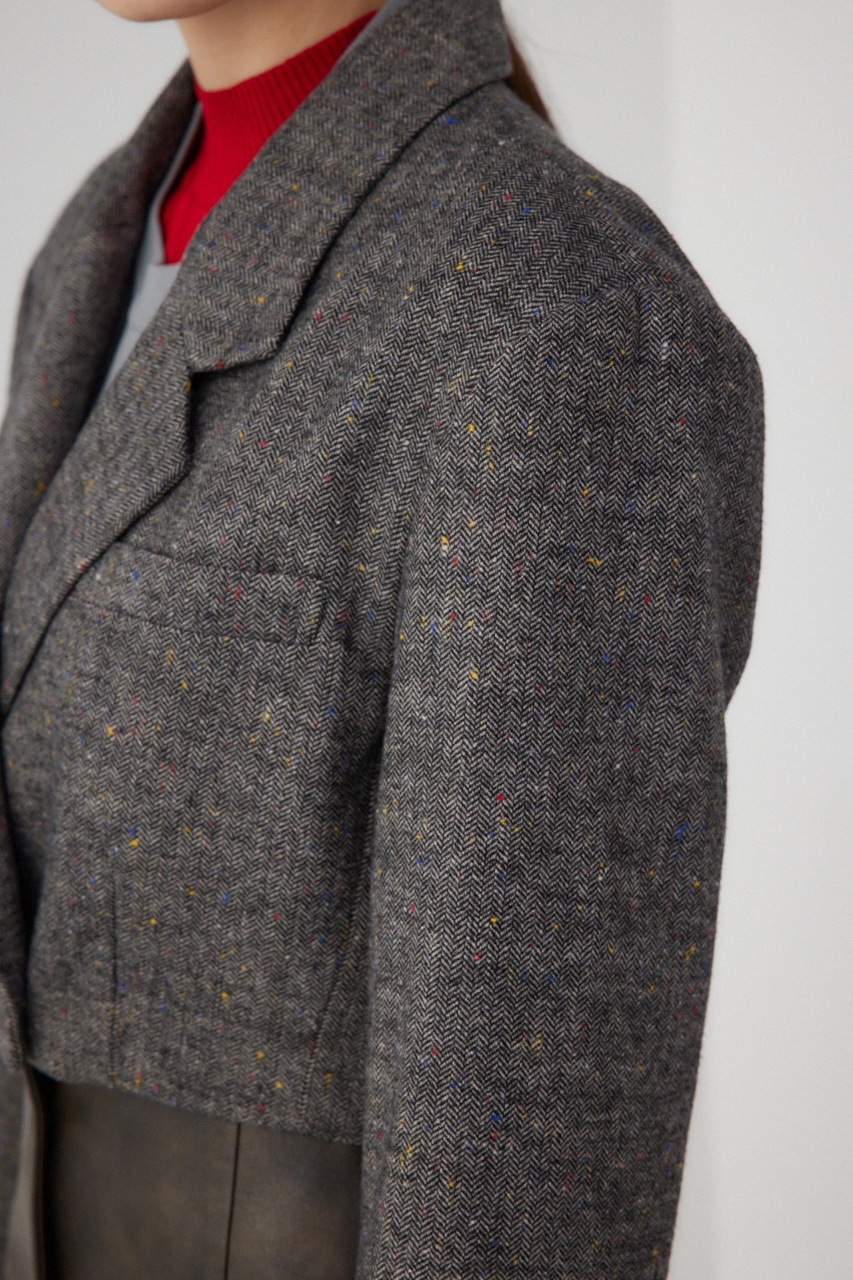 【PLUS】パターンクロップドジャケット Multi_1 FREE