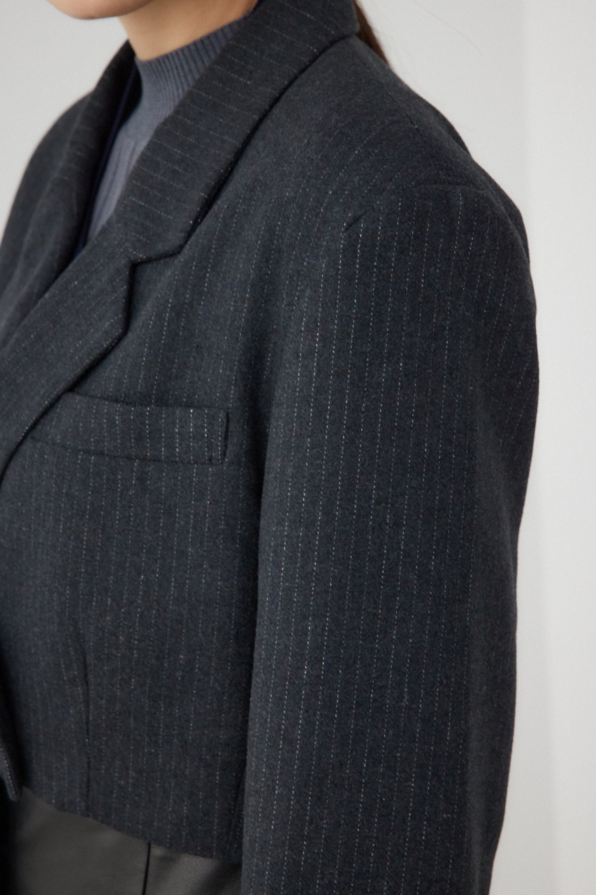 【PLUS】パターンクロップドジャケット Stripe FREE