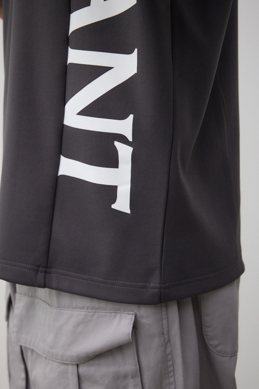 ロゴスウィッチングビッグTシャツ C.GRY FREE