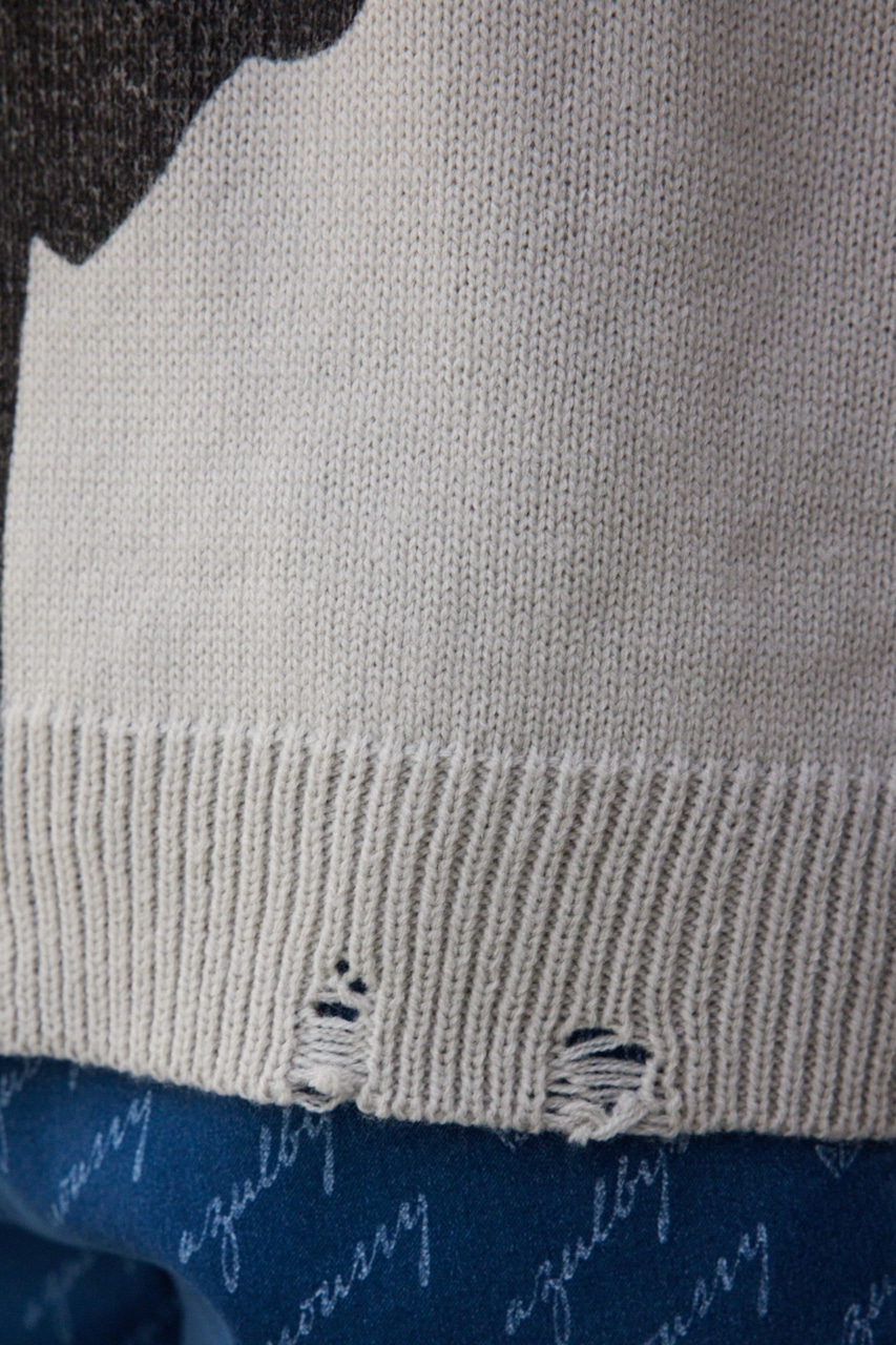 フォトプリントニットトップス GREIGE FREE