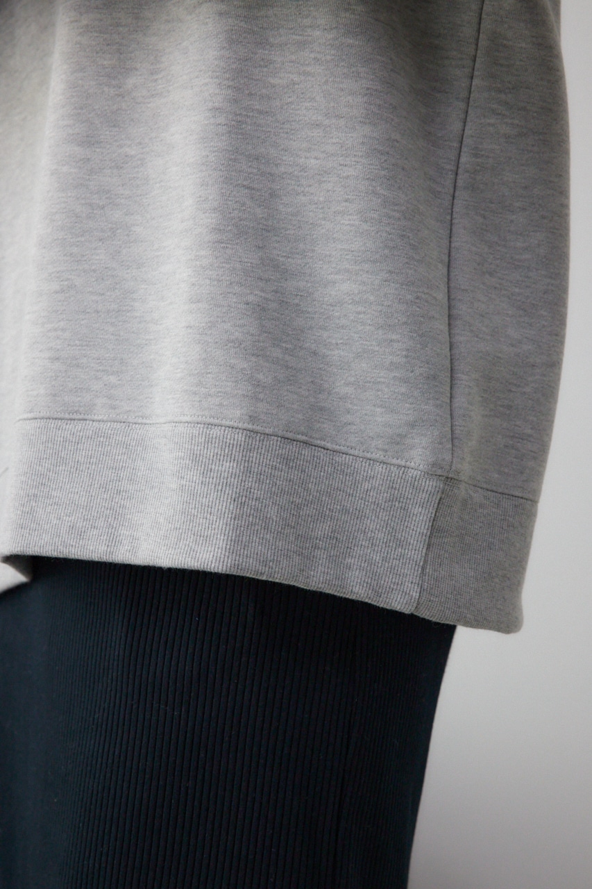 カレッジプリントスウェットパーカー T.GRY FREE