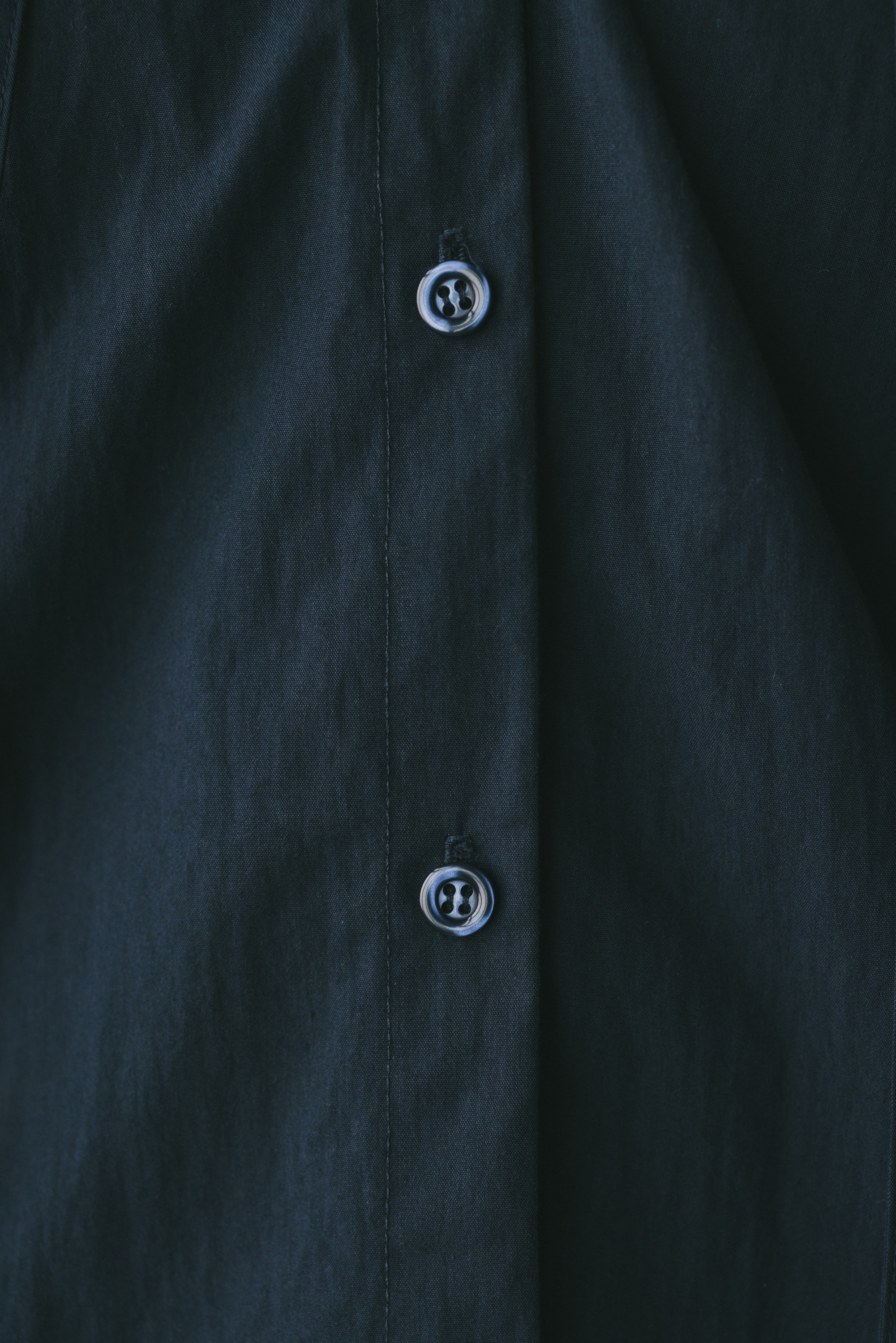 フリルカラーブラウス NVY FREE