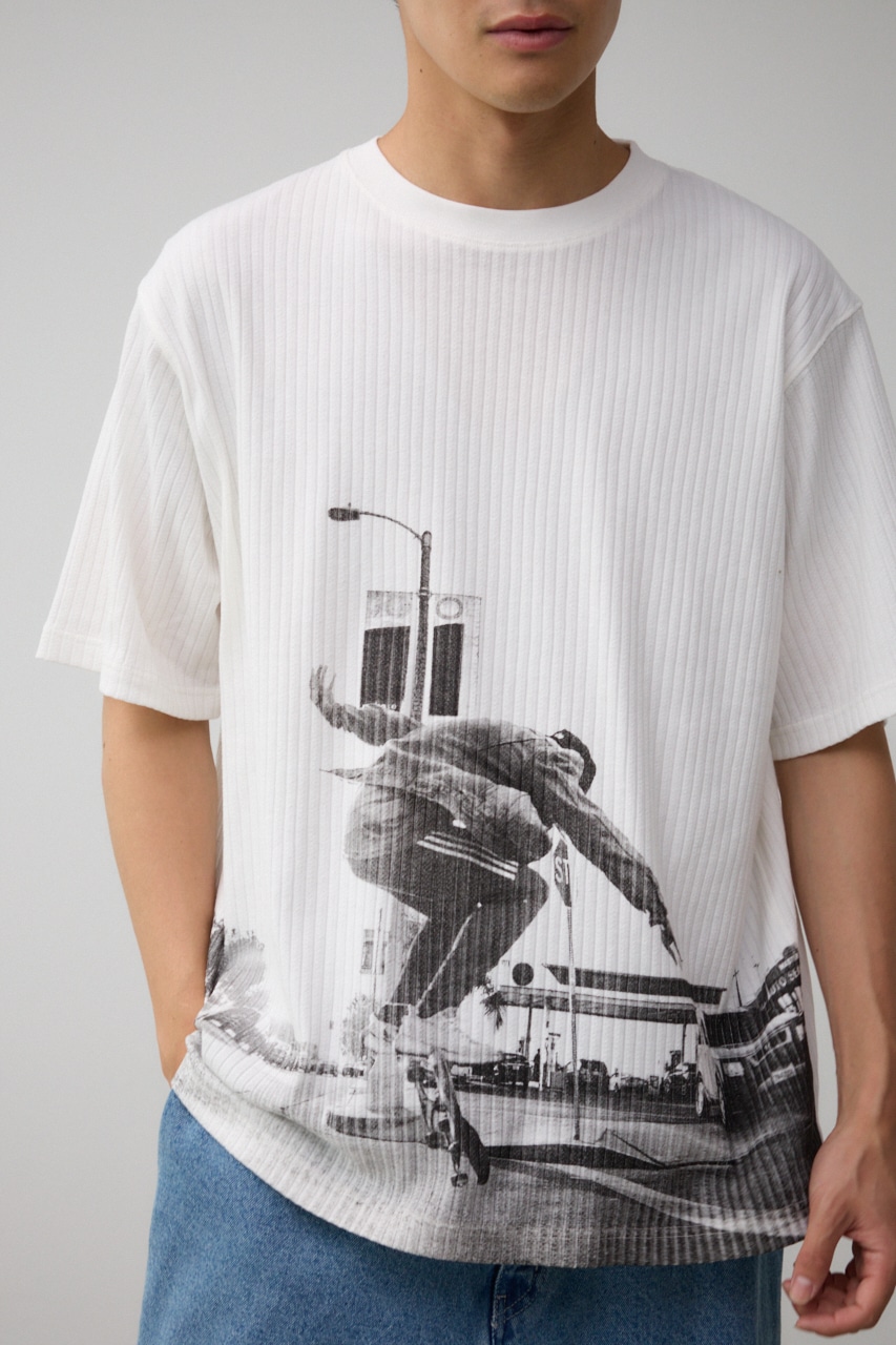 ビッグフォトプリントトップス WHT FREE