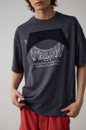 アップリケビッグTシャツ