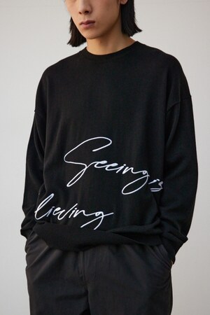 3D刺繍長袖ニットトップス