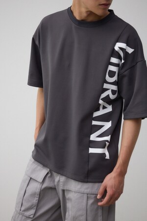 ロゴスウィッチングビッグTシャツ