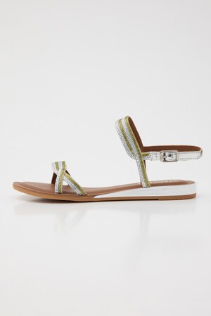 プラネットラインフラット