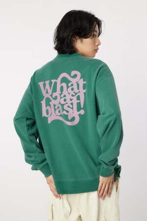 ピグメントロゴスウェット